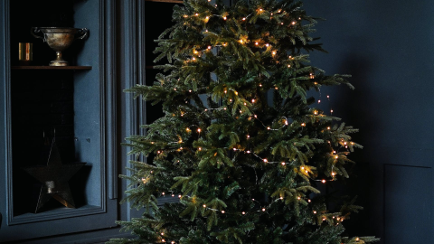 Hay países en los que NO se puede celebrar la Navidad 2023, te contamos por qué.