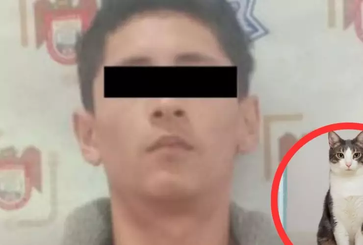 Consulta los tiempos de espera en las garitas de Tijuana este viernes 30 de mayo y organiza con anticipación tu cruce peatonal o vehicular hacia Estados Unidos. - 2026-01-08T102856.443.jpg