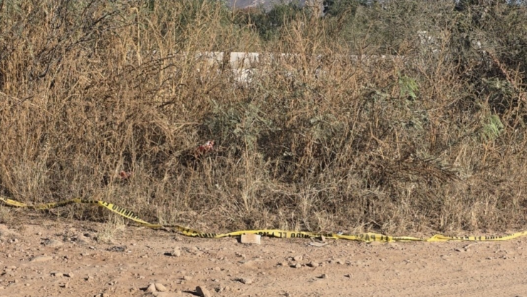 Localizan cuerpo sin vida al norte de la ciudad.