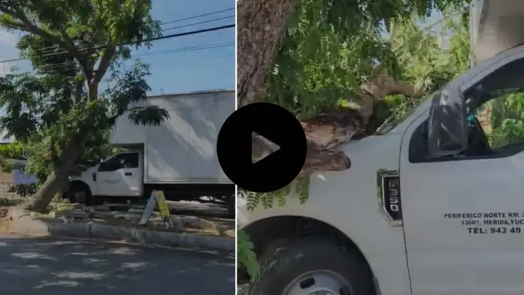 PORTADA accidente con árbol.jpg