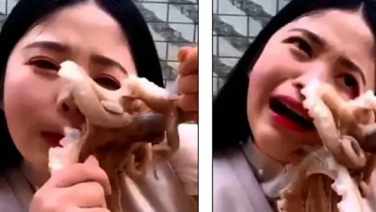 Video_ Influencer china come pulpo vivo, pero sufre ataque de animal