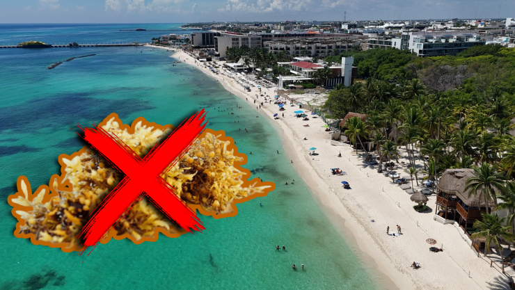 Playas sin sargazo en Cancún, Isla Mujeres, Holbox, Puerto Morelos, Playa del Carmen y Cozumel hoy 28 de septiembre de 2025.jpg
