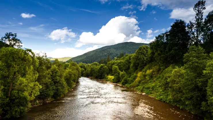 Familia de seis miembros intenta quitarse la vida al lanzarse a un río por deudas en India