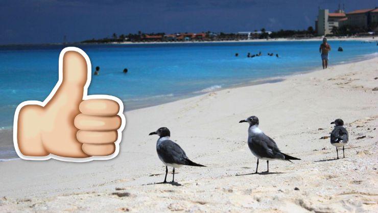 Estas son las playas de Cancún en las que puedes nadar HOY 10 de agosto de 2025.jpg