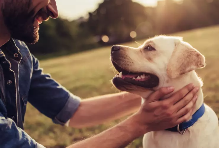 La advertencia para los dueños de perros en California.jpg