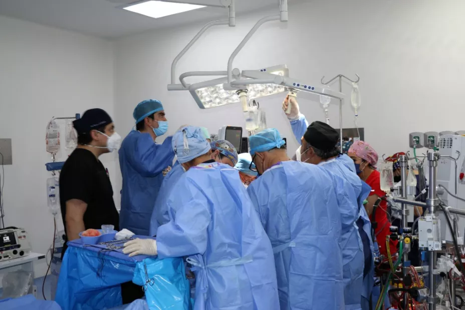 HGM3 trasplante corazón SSa.jpeg