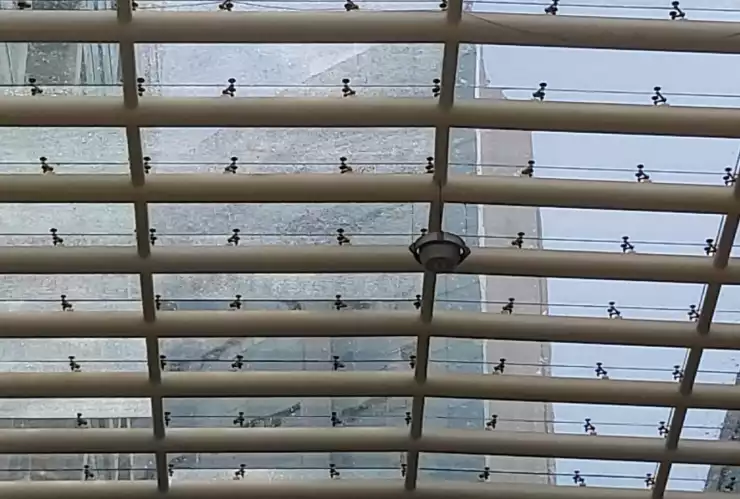 Desalojan plaza Reforma 222 en CDMX por fractura en paneles de vidrio