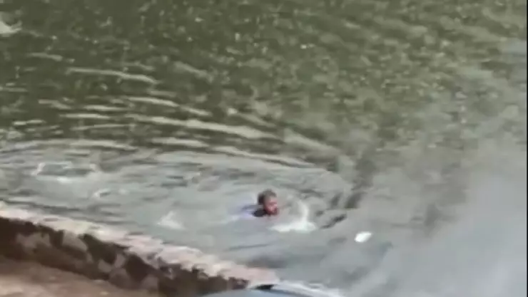 Cámaras captan cómo un hombre casi es atacado y DEVORADO por un cocodrilo