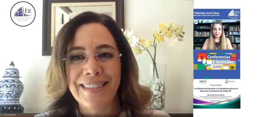 Foto comisionada del INAI, Blanca Lilia Ibarra Cadena.jpg