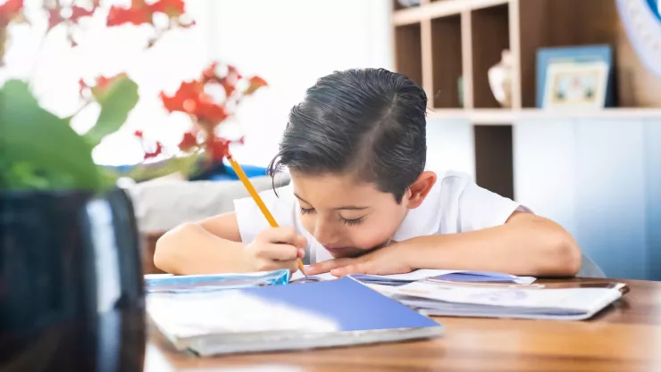 Calificaciones SEP del ciclo escolar 2022-2023