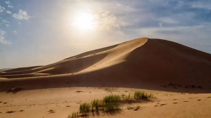 Desierto del Sáhara