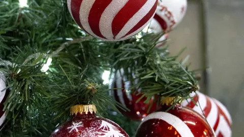 La Navidad se ve en todos lados