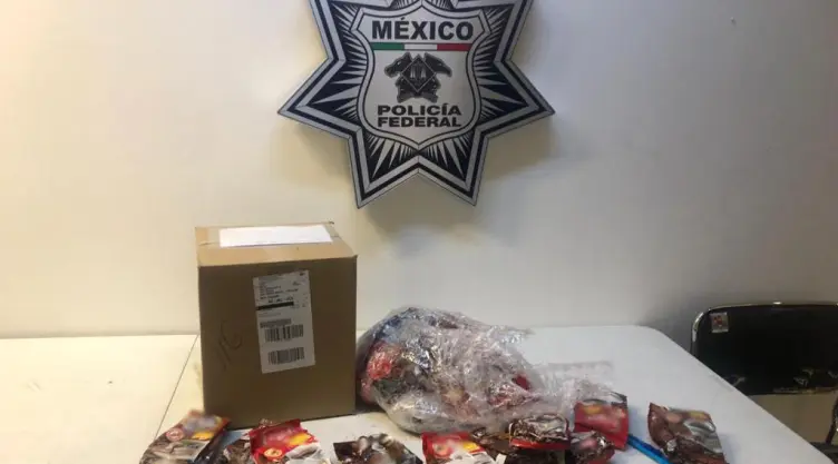 INTERCEPTAN CASI 5 KILOS DE PRESUNTA METANFETAMINA EN BOLSAS DE CAFÉ