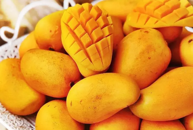 mango ataulfo.jpeg