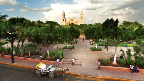 Cinco cosas que PUEDES HACER en Yucatán, según la IA