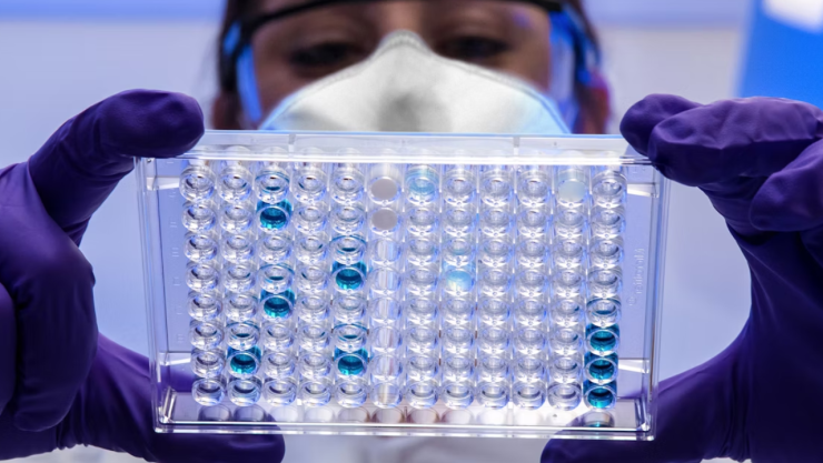 Nuevo virus de murciélago alarma a la ciencia: ¿similar al Covid‑19?