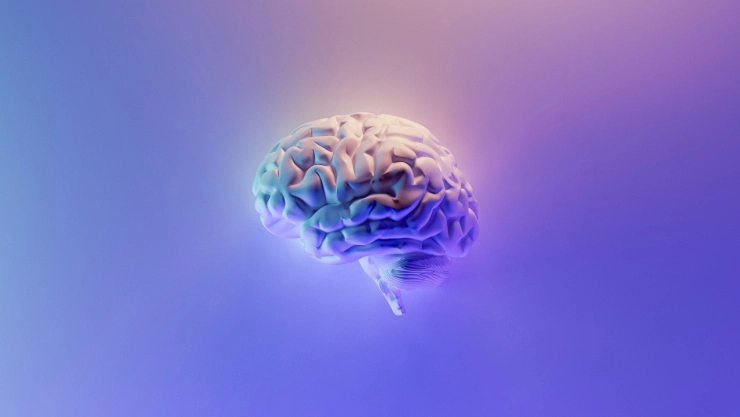 Cambio-climático-reduce-tamaño-cerebro-humano