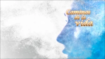 Caminos de la vida
