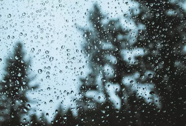 Después de la tormenta viene la calma Consulta el pronóstico del clima hoy en Guadalajara