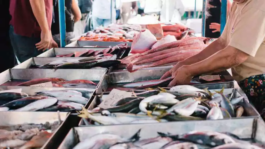 Canadá ofrece empleos de hasta 80 mil pesos al mes