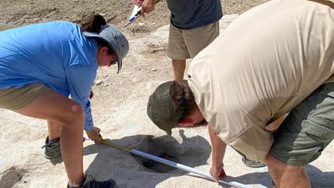 Sequía en Texas deja al descubierto huellas de dinosaurios