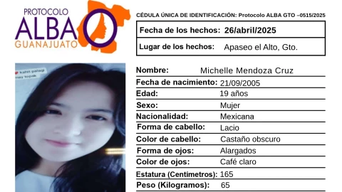 Desaparecidos Guanajuato ¿Quién es Michelle Mendoza Cruz y qué sabemos de su desaparición en Apaseo el Alto.png