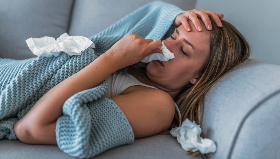 Gripe en calor