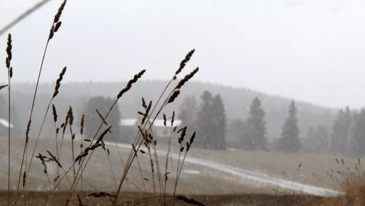 clima en querétaro hoy viernes 1 de noviembre.jpg