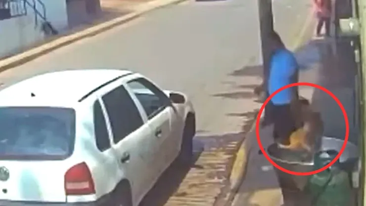 Hombre mata a perro