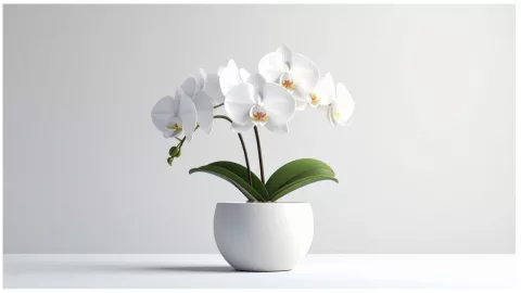 plantas artificiales grandes orquidea