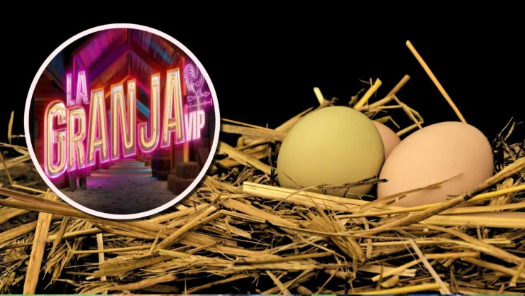 Los 3 huevos de gallina más bellos.