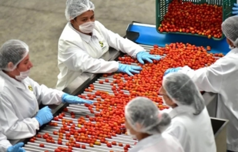 Crecimiento económico estatal