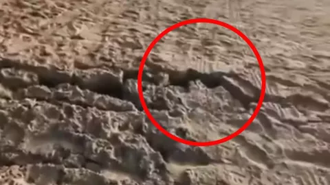 Se abren grietas en Barra Vieja tras sismo de magnitud 6.5 (VIDEO)