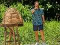 recompensa de suministros en survivor