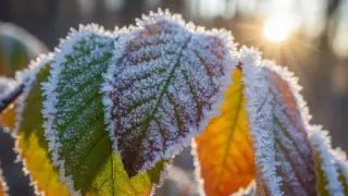 ¡Atención! Prevén heladas en Veracruz ¿Cuándo?