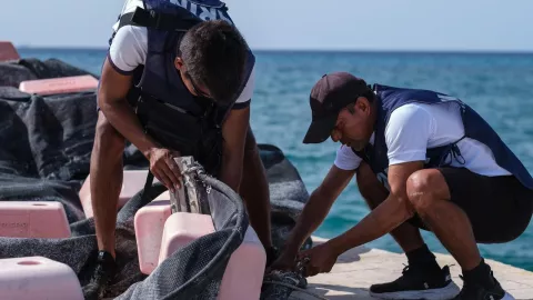 Destacan permiso para fertilizantes orgánicos con sargazo