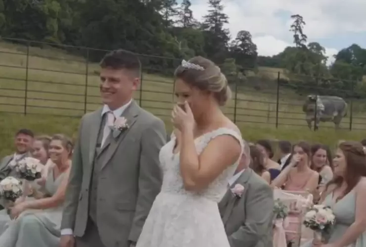 VIDEO_ Vaca interrumpe una boda y los novios casi no se casan