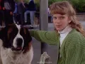 ¿Qué pasó con la actriz Sarah Rose Karr? La recordarás por el personaje de Emily Newton en Beethoven, entérate dónde está ahora.