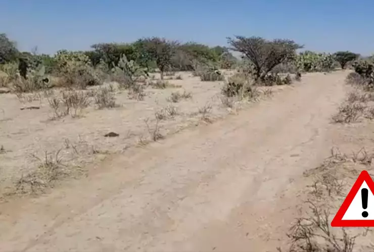 Encuentran a un hombre muerto en el municipio de El Llano