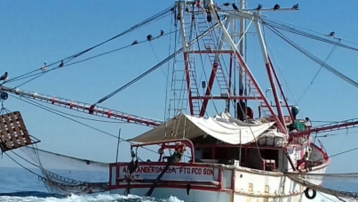 Bote de pesca Sagarpa