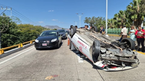 WhatsApp Image 2026-02-10 at 11.50.34 AM.jpeg