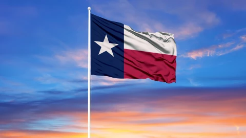 Bandera flameante de Texas