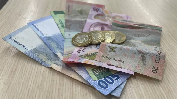 Aguinaldo digno: Senadoras del PVEM proponen aumentar de 15 a 30 días esta prestación