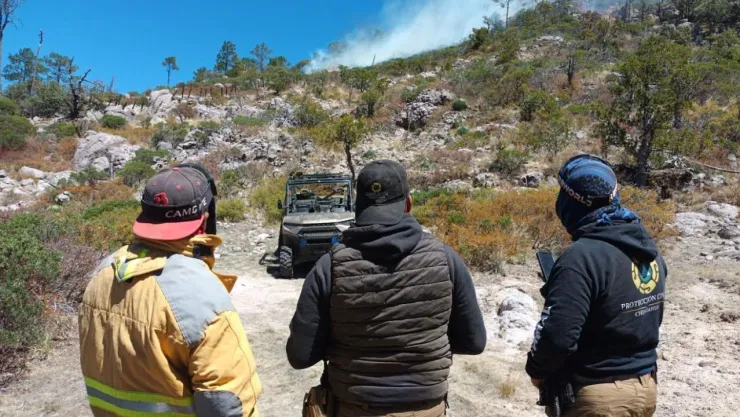 Incendios Forestales