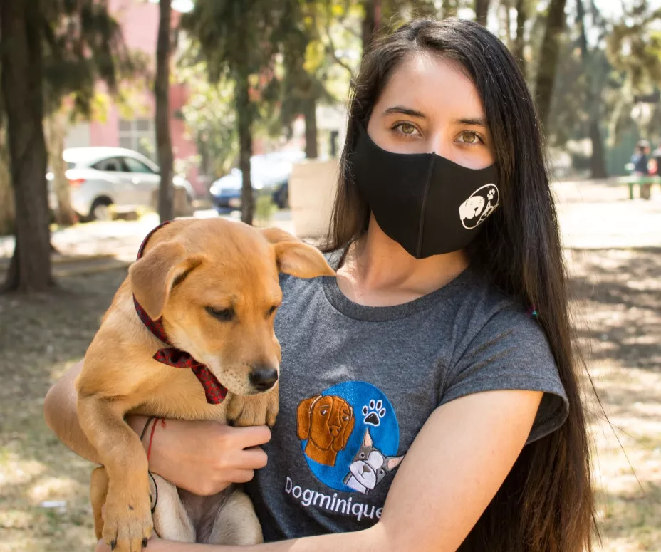 Dogminiquee Perros.jpg