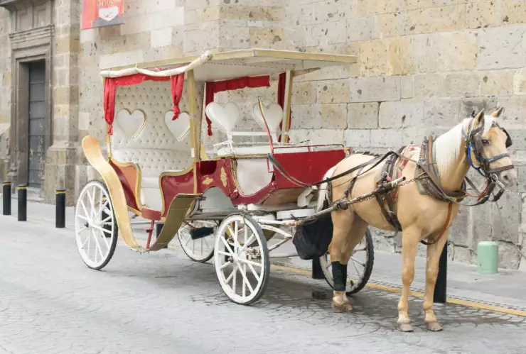 ¿Qué pasó con las tradicionales calandrias jaladas por caballos en Guadalajara?