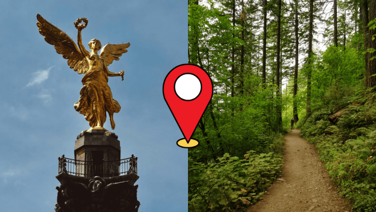 Los 5 destinos con bosque que puedes visitar el fin de semana cerca de la CDMX.png