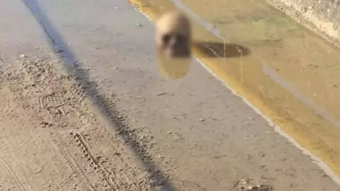 craneo minatitlan.jpg