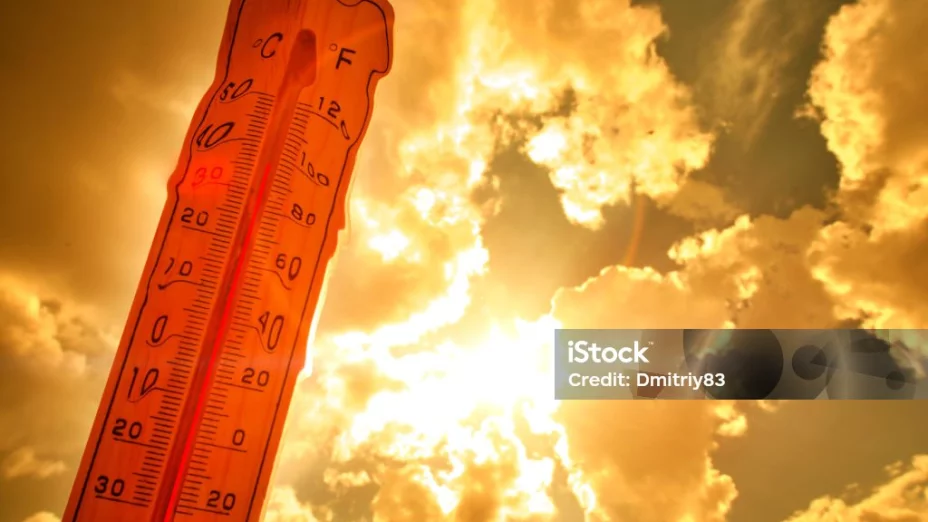 istockphoto-1813970546-1024x1024 (1).jpg