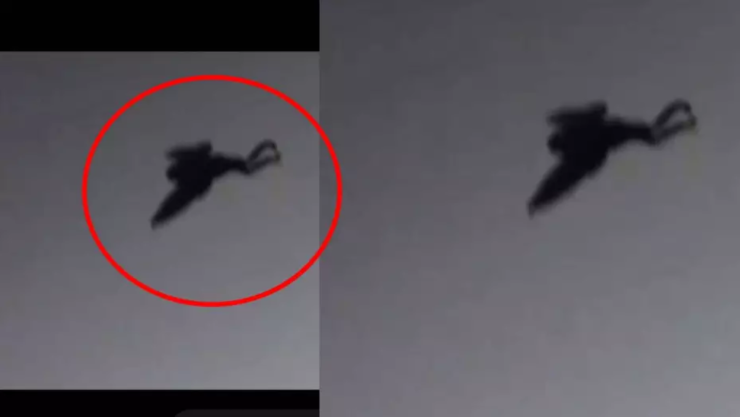 Reportan extraña criatura con alas en La Rumorosa, video se hace viral.png